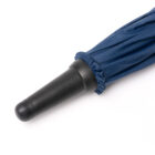 2007_55_3_3.jpg